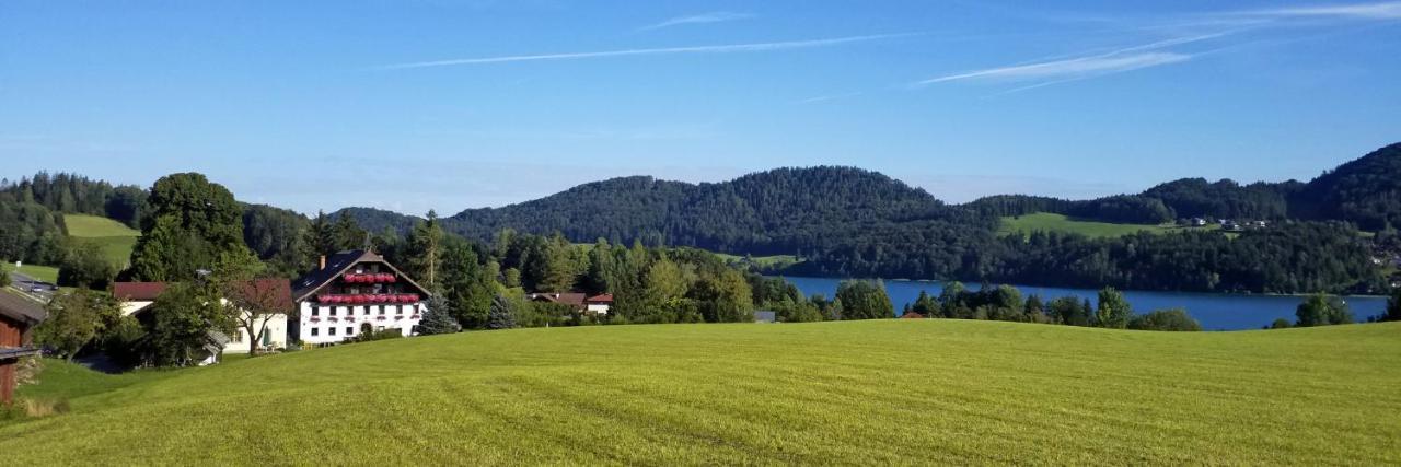 Pension Hohenau Fuschl am See Exterior foto